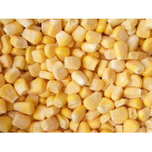 IQF Sweet Corn Frozen Sweet Corn Chinese Supplier